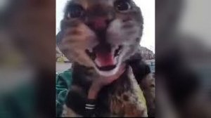 I Got No Time (Sped Up) 1 Hour Loop