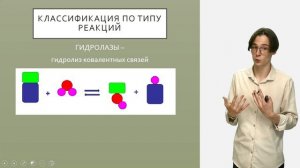 Основы классификации и номенклатура ферментов