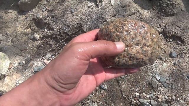Под большим камнем нашел золотые монеты