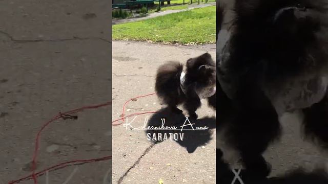 Девочка продаётся 😍🤗