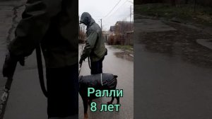 Доберман 8 лет. Сильно тянет вперед. Агрессия на хозяина.