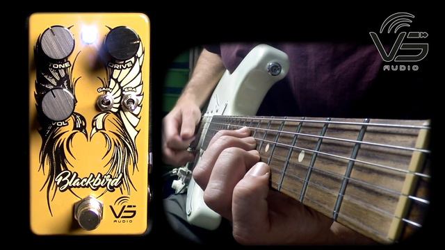 VS Audio Blackbird Overdrive смотреть онлайн