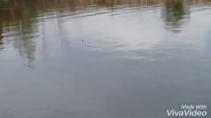 Рыбалка на каръере,ловля карася и чебака!!!