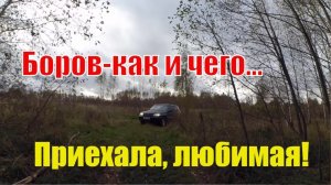 ПРИЕХАЛА, ЛЮБИМАЯ! // ЧТО В БОРОВЕ ТВОЕМ? // ДЕРЕВЕНСКАЯ ЖИЗНЬ