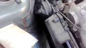 Стаканы не сгниют, если обработать так,как это делаю я!