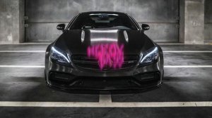 Adam - На рахате ☆Едит катит черный мерин☆ ~BASS~