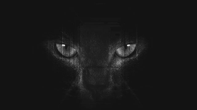 Я работаю СТОРОЖЕМ и обязан соблюдать СТРАННЫЕ ПРАВИЛА | Страшные истории | Мистика смотреть онлайн