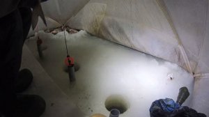 Ночная Зимняя Рыбалка в Палатке. Ловим  достойные экземпляры. . Плотва .Густера.