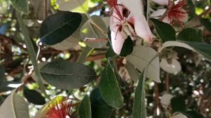 Фото природы на обои☘️