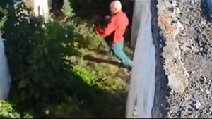 Далеко далеко ускакала в поле молодая лошадь