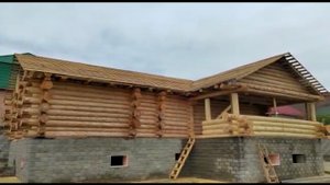 Сруб дикой рубки