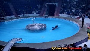 ЦИРК!!! ЦИРК!!! ЦИРК на воде 4 часть. СОЧИ