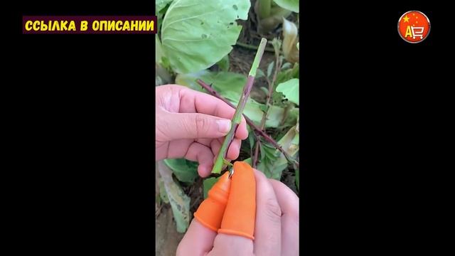 ? Резак на палец / Инструмент для сада и огорода смотреть онлайн