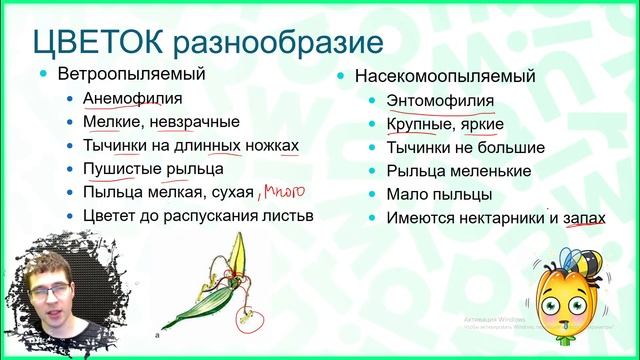 Тема №4: Семейства растений смотреть онлайн