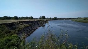 Река Сож. Клёвое рыбацкое место