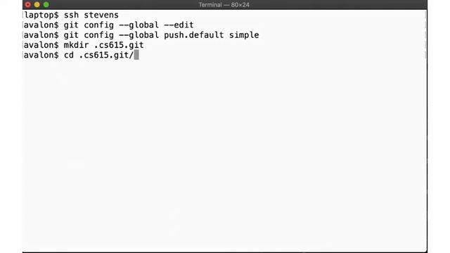 CS615 System Administration, Week 01, Segment 5 - Just enough git (but without GitHub) смотреть онлайн