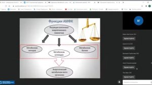 Патофизиология обмена веществ ЧАСТЬ 1