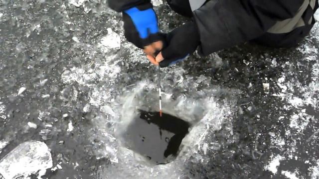 окунь. смотреть онлайн