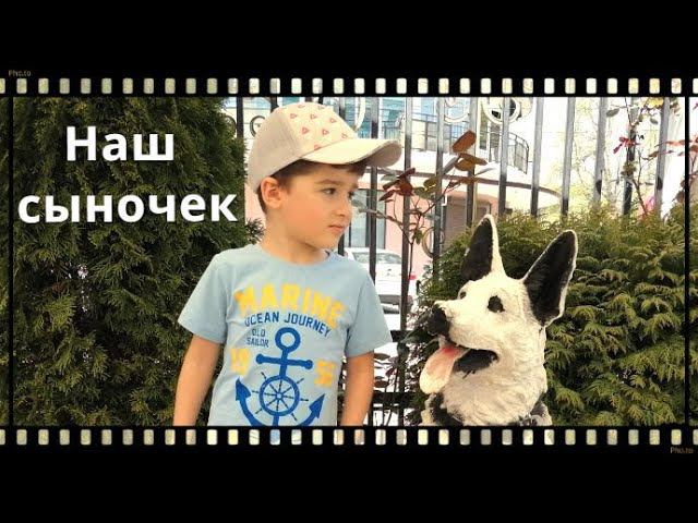 Наш сыночек))) смотреть онлайн