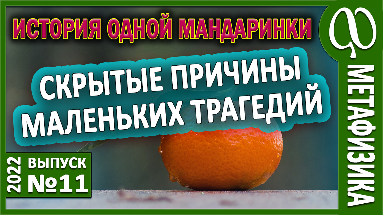 История одной мандаринки. Покупатель - вор? Агрессор или жертва? Ассертивность. Позиция взрослого.