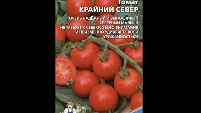 5 лучших сортов томатов для открытого грунта 2020г. смотреть онлайн