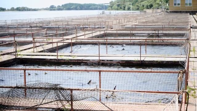Первая рыбалка в мой жизни. Учусь ловить рыбу в Астраханской области. смотреть онлайн