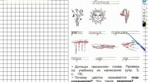 Страница 11 Упражнение 2 - ГДЗ по Русскому языку Рабочая тетрадь 1 класс (Канакина, Горецкий)