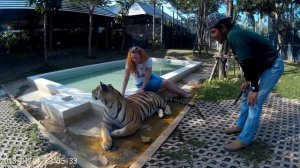 Ап и тигры  у ног твоих сели