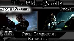 The Elder Scrolls-Расы Тамриэля-Каджиты(Лор)