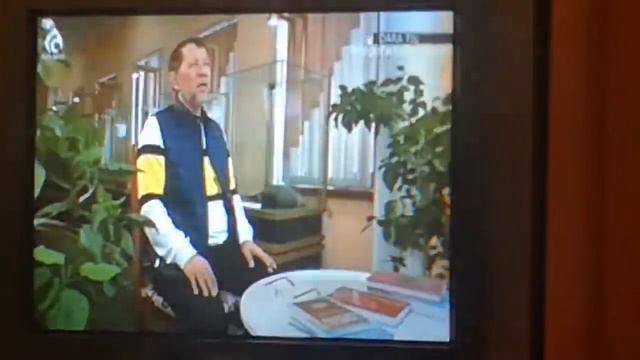 какого цвета крокодил смотреть онлайн