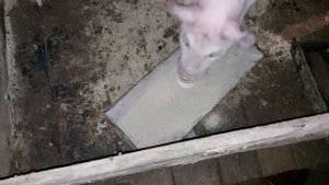 Искусственное осеменение свиней , внутриматочное осеменение и в чем разница от простого,свинья дюро