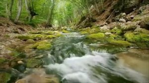 А что будет завтра...  музыка, исполнение   Евгений Лощилов, ( С. Долгова)