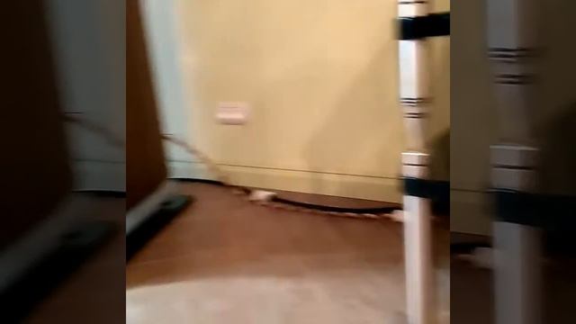 Стерео система hi-end класса ATC. смотреть онлайн