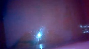 Хранение живца зимой