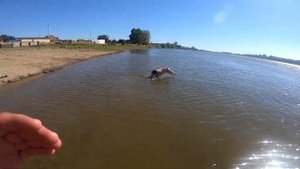 Рыбалка! Астрахань! , 2020 сентябрь , низовье Волги , село  Житное!!!