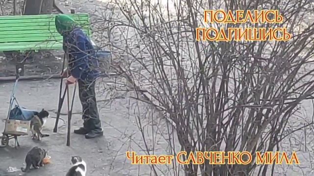 Николай Заболоцкий - Не Позволяй Душе Лениться:Стих Читает САВЧЕНКО МИЛА