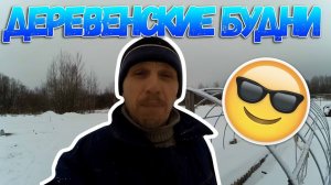 Жизнь в деревне, январь 2018 года // Деревенские будни