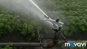 Спринклер "Гидра" секторный