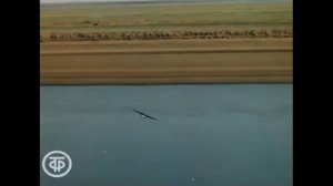 Виртуальная экскурсия 4 класс "Тундра. Таймырский заповедник."