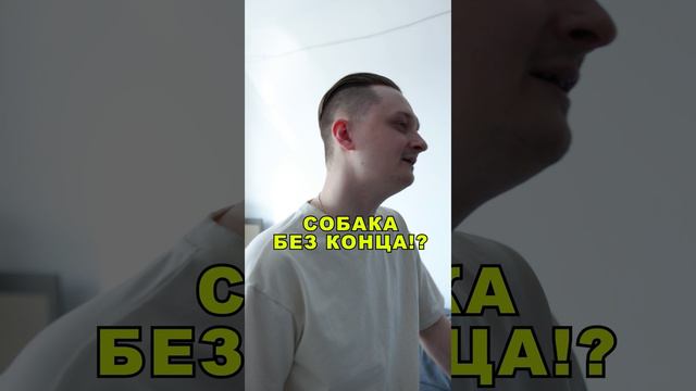 Собака лает, но есть нюанс...