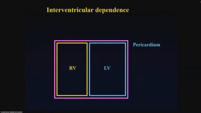 Heart lung interactions in pneumonia D De Backer 2020 смотреть онлайн