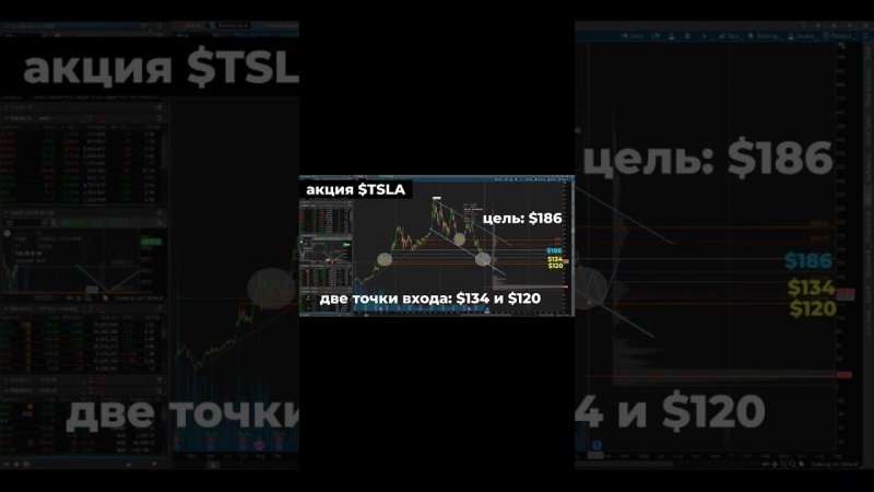 Заработал на акции Tesla $TSLA 50%