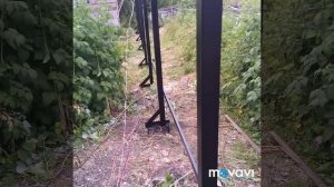 Забор на пучинистых грунтах.