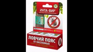 Яблонный цветоед — Жук долгоносик