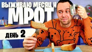 2 день  ВЫЖИВАЮ МЕСЯЦ на МРОТ