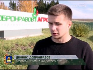 Край Брянский - Навлинский район 13 11 17