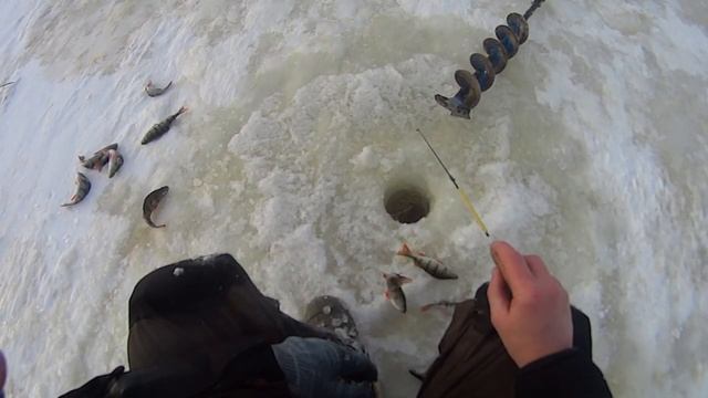 Ладога зимняя рыбалка, открытие 2021-22. смотреть онлайн