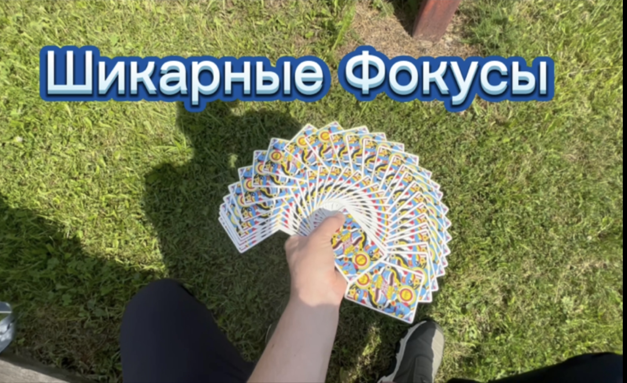 Природа и великолепные фокусы с картами