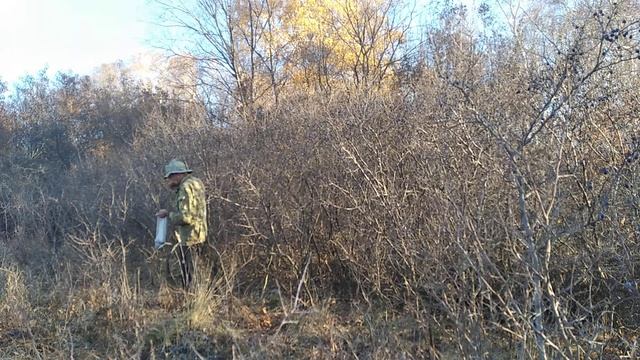 тот самый Терновый куст смотреть онлайн