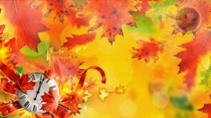 ProShow Producer. Set of Footages. Autumn. Футажи осенние